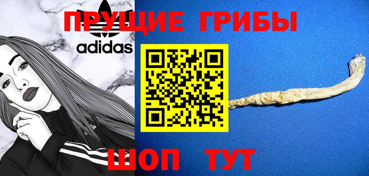 Галлюциногенные грибы прущие грибы Коряжма