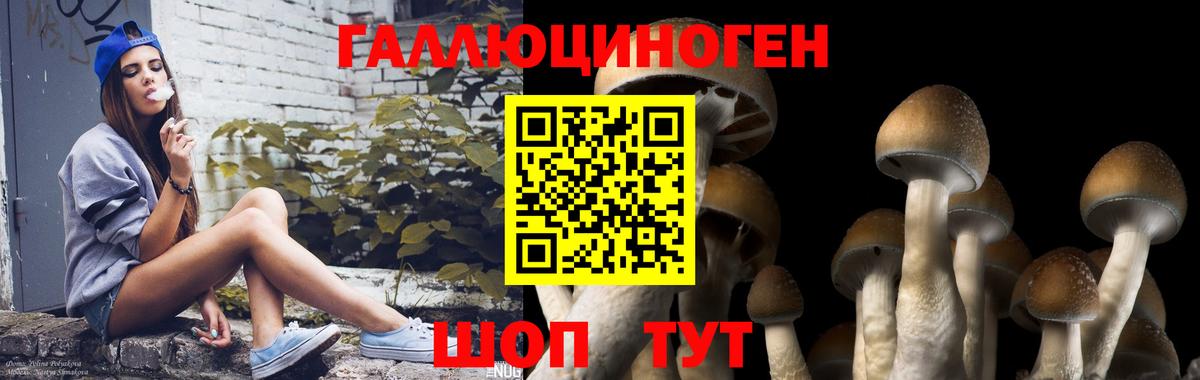 Галлюциногенные грибы MAGIC MUSHROOMS  Псилоцибиновые грибы мухоморы  хочу наркоту  Коряжма  Вход с VPN 
